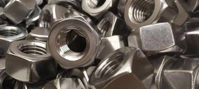 Stainless Steel 310 Nuts