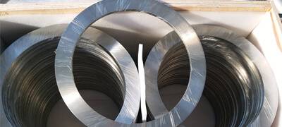 Stainless Steel 310 Rings